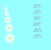 chamomile flower flowers bud machine embroidery designs