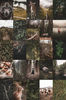 Set-Forest-100-04.jpg