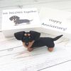 Dachshund-puppy-Anniversary-gifts-1