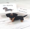 Dachshund-puppy-gift-pocket-hug