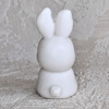 soap bunny with carrot