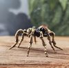 figurine  tarantulas
