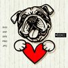 American-bulldog-Portrait-with-heart-in-hands-clipart.jpg