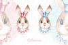 Rabbits 1 Prinсesses Banner (1).jpg