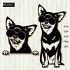 Chihuahua with sunglasses black and white clipart.jpg