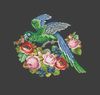 Vintage Cross Stitch Parrot