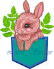 Rabbit 3 2.jpg