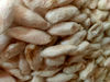 Mulberry White Eri Cocoon - SilkRouteIndia (5).jpg