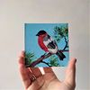 Handwritten-bird-bullfinch-mini-painting-by-acrylic-paints-5.jpg