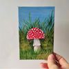 Handwritten-mushroom-toadstool-fly-agaric-by-acrylic-paints-4.jpg