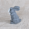 403-5 Little rabbit.jpg