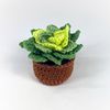 crochet-succulent