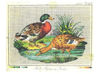 Vintage Cross Stitch Ducks