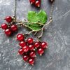 necklace-red-currant-berries-on-bronze-branches-and-chains-2.jpg