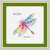 Dragonfly_Rainbow_e4.jpg