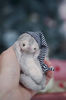 stuffed-bunny-alan-by-tamara-chernova.jpg