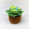 Mini-crochet-plants-pattern