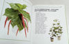 antique-botanical-book.jpg