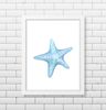 starfish print.jpg