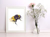 Watercolor bee print.jpg