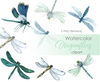 Watercolor dragonfly .jpg