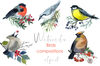 watercolor birds.jpg