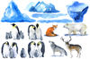 winter animals set.jpg