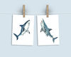 shark postcard.jpg