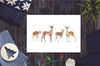 christmas deer postcard.jpg