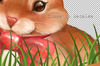 Rabbits in Baskets B03.jpg