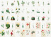 Set-Botanica-200-04.jpg