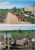 8 Memorial Complex KHATYN vintage color photo postcards set World War II memorials USSR 1990.jpg