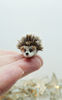 tiny-hedgehog-2