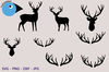 Deer bundle.png