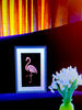 Flamingo in interior new.jpg