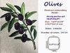 Olives photo stitch.jpg