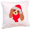 Pillow Christmas Dog.jpg