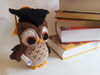 owl scholar.jpg