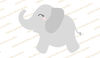 ELEPHANT BABY (2).jpg