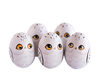 5 wooden painted eggs in the form of snowy owls