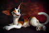 Oriental cat art doll animal 1.JPG