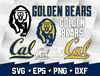 California Golden Bears.jpg