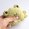 frog-worry-pet