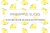 Watercolor pineapple patterns set