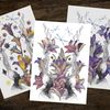 floral-drawing-digital-illustration-flowers-design-poster-postcard-paper-fabric-decor
