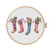 Bright Socks are waiting for Christmas.jpg