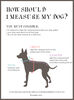 Puppyko.Measurements.jpg