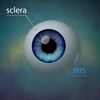 sclera-iris.jpg