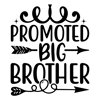 Promoted to big brother-01.png