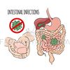 INTESTINAL INFECTIONS [site].jpg